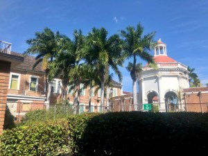 To the left is a modern-looking two storey building, and to the right a white cupola style building with tiled roof. There is a large palm tree in the centre of the image, and blue skies.